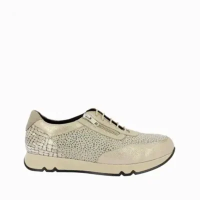 Zapatillas de mujer con diseño en color beige y textura de reptil, ideales para calzado cómodo y a la moda en tiendas de calzado Luis Rico.