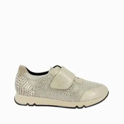 Zapatillas de calzado confortables y modernas en color beige con diseño perforado para máxima transpirabilidad, perfectas para uso diario y estilo casual.