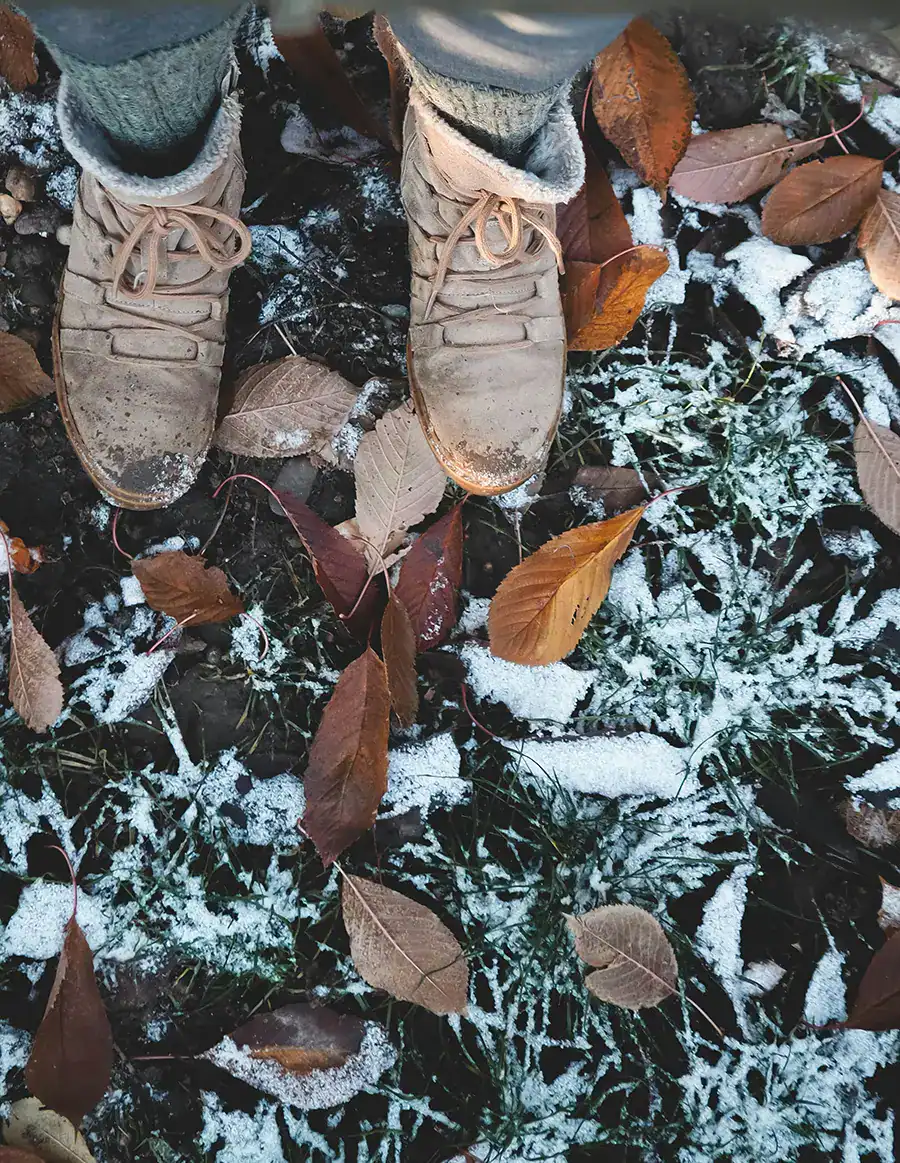 Zapatos de cuero beige en suelo con hojas caídas y nieve, calzado de moda para otoño e invierno, calzado cómodo y duradero de tienda de calzado Luis Rico.